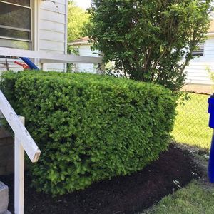 Meet your Posher, Carlos